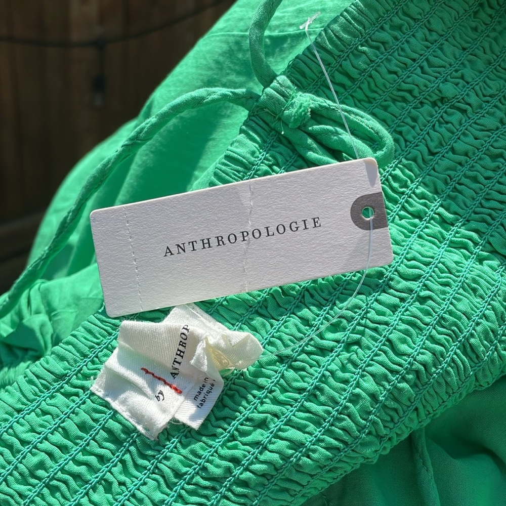 Anthropologie Corset Midi Dress - Picture 10 of 13